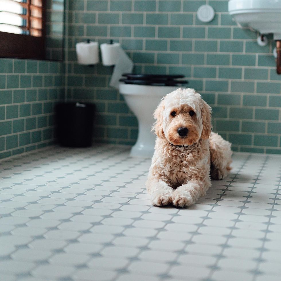 water proof ceramic tile flooring with a mosaic pattern is used for a bathroom floor