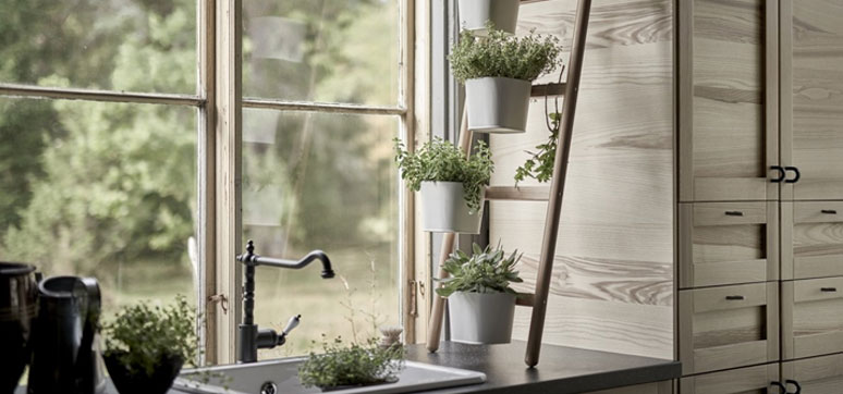 kitchen Indoor herb garden