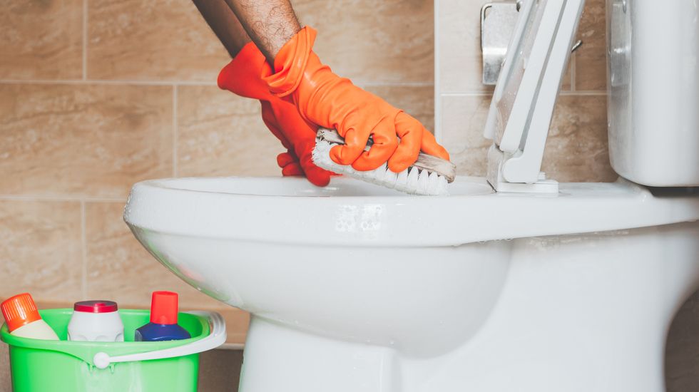 toilet bowl cleaning, hand with orange gloves scrubbing the toilet