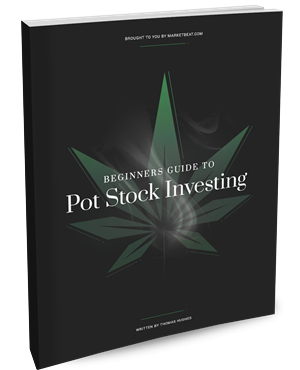 Beginners Guide To Pot Stock Investing Cover