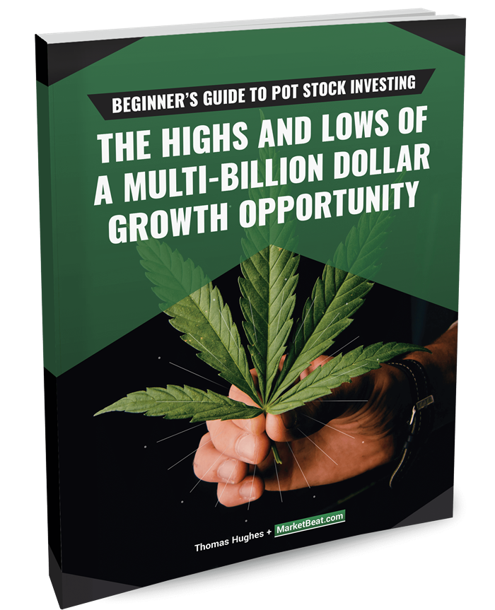 Beginner's Guide to Pot Stock Investing Cover